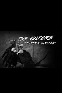 The Vulture "Nature's Cleaner