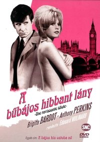 Poster 13