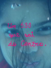 Um 530 que sai do Centro.