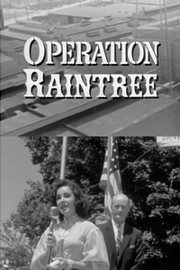 Operation Raintree