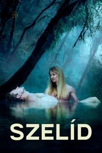 Poster 4