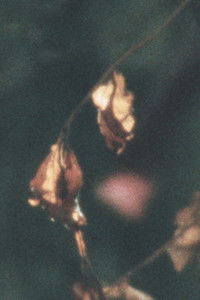 Poster for breathing exercises