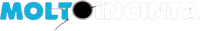 Logo 13