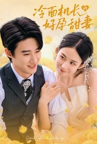 Poster for 冷面机长的好孕甜妻