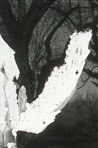 Poster for Black Vision
