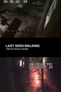 Poster for Last seen walking