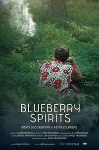 Poster for Blueberry Spirits