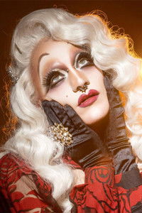 Profile of Felony Dodger