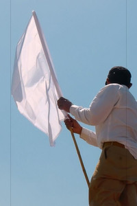 Poster for Brown Bodies in an Open Landscape are Often Migrating