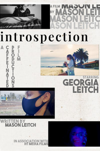 Poster for Introspection