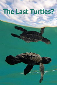 Poster for The Last Turtles?