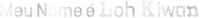 Logo 13