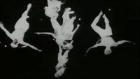 Backdrop 3