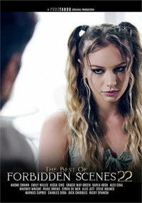 Poster for The Best Of Forbidden Scenes 22