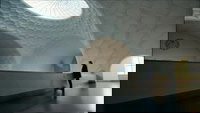 Backdrop 0