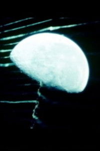 Poster for Wet Weather