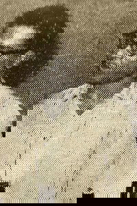 Ajit Ganguly