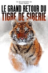 poster Le grand retour du tigre de Sibérie