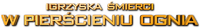Logo 26
