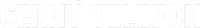 Logo 3
