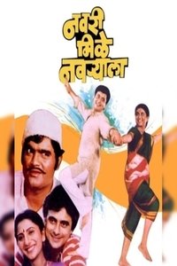 Navri Mile Navryala