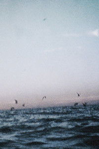 Poster for Ocean III