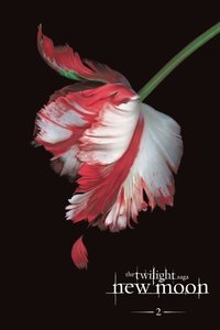 Poster 97