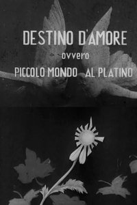Poster for Destino d'amore, ovvero, piccolo mundo al platino