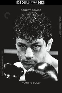 Poster 66