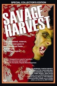 Poster 4