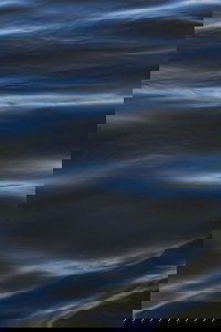The Flood