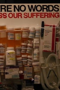 The Best Things In Life Are Free