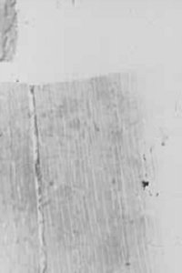 Poster for In/Side/Out I