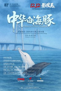 Poster for 中华白海豚