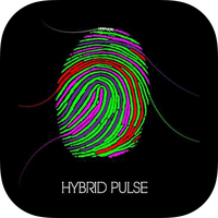 logo for Hybrid Pulse