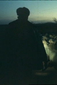 Poster for Black Ashes