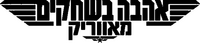 Logo 17