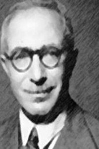 Profile of Mohamed Hussein Heikal