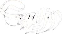 Logo 0