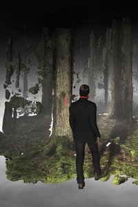 Forest on Location