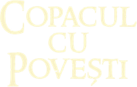 Logo 7