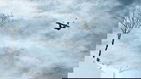 Backdrop 0