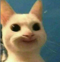 SAsher's profile image