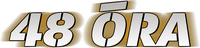 Logo 13