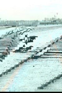 19 876 Steps in Auschwitz / Birkenau