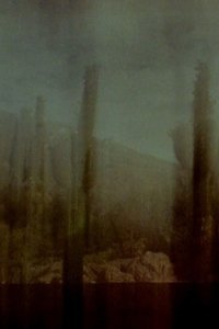 Poster for Sucsando