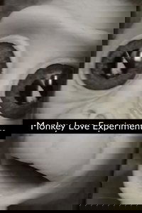 Monkey Love Experiments