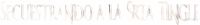 Logo 0