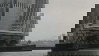Backdrop 8