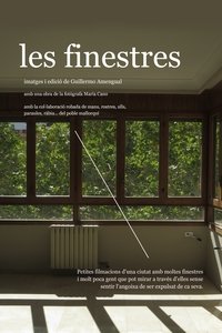 Poster for The windows